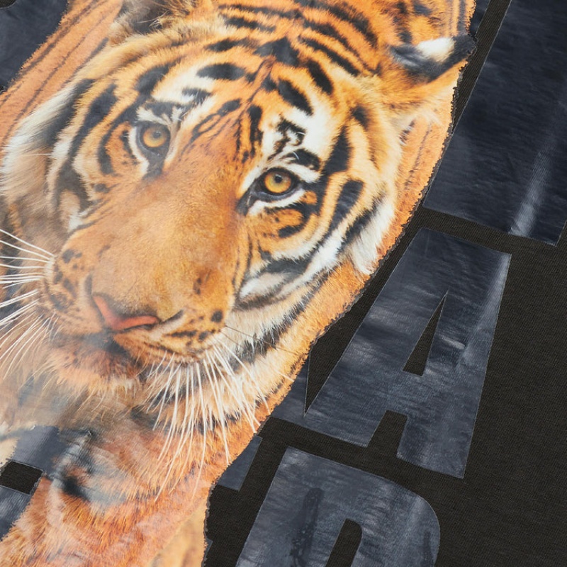 Dark Grey Men's Onitsuka Tiger Graphic T Shirts Online India | U8A-3519